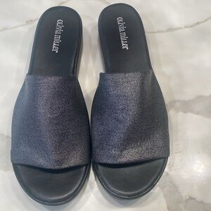 Silver Slides